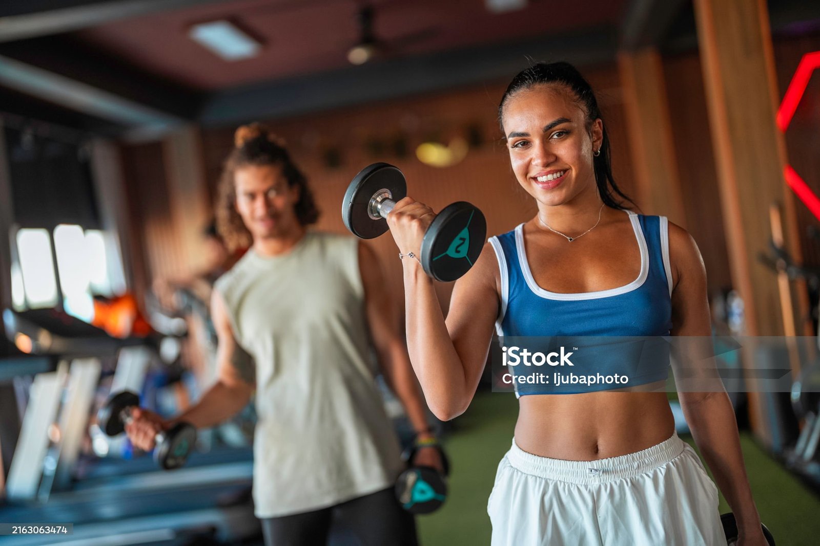 Préparation de la terre